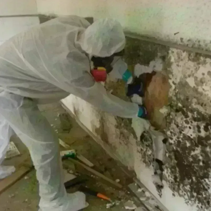 Mold Remediation and Removal in Fessenden, ND